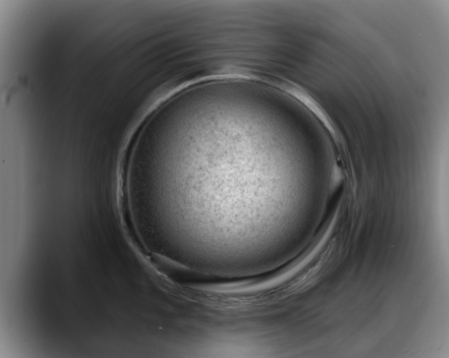 X0000088831101200706141516