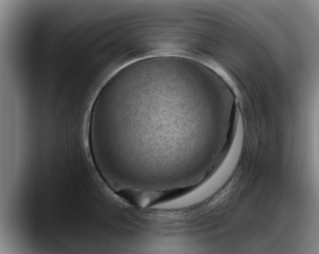 X0000088831102200706141516