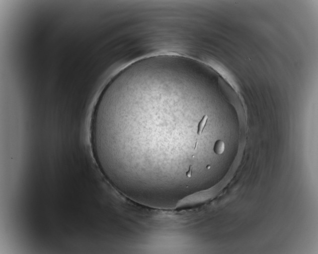 X0000088831104200706141516