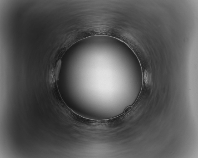 X0000088831107200706141515
