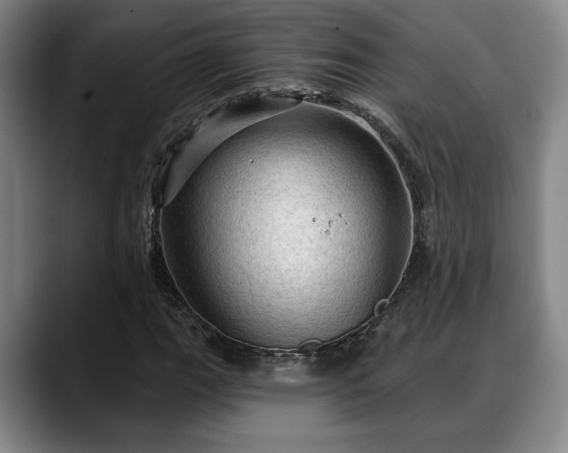 X0000088831111200706141515