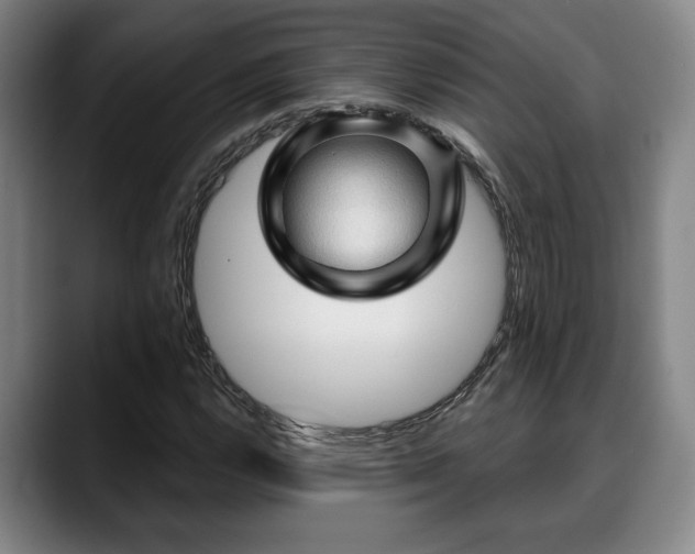 X0000088831112200706141515