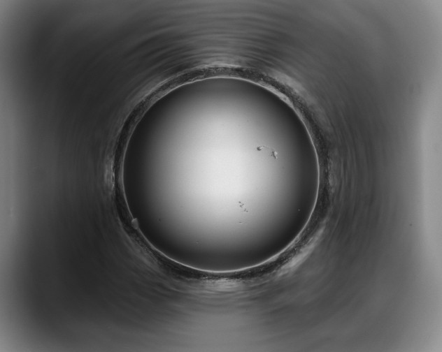 X0000088831113200706141515