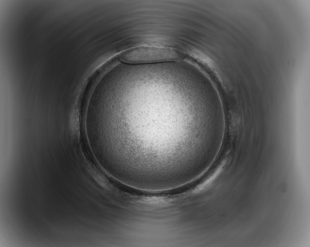 X0000088831114200706141515
