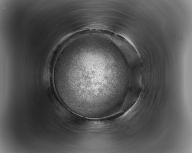 X0000088831115200706141515