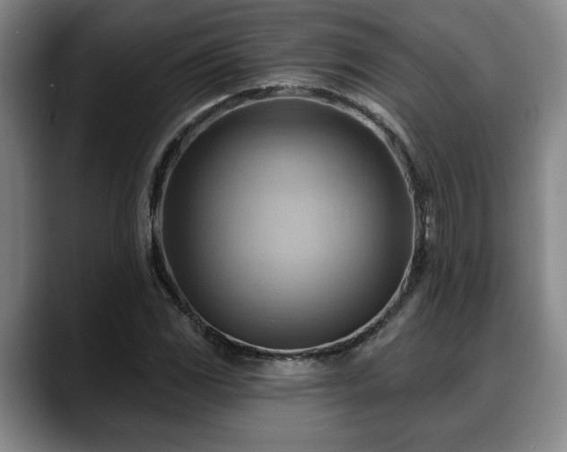 X0000088831117200706141515