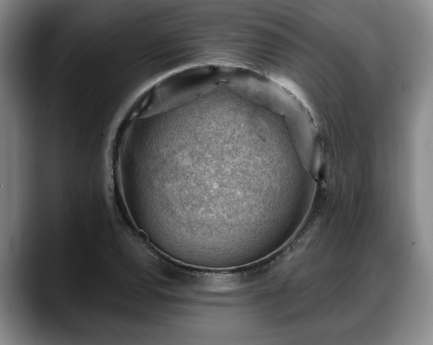 X0000088831120200706141515