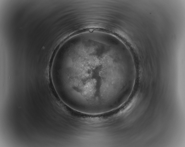 X0000088831121200706141515