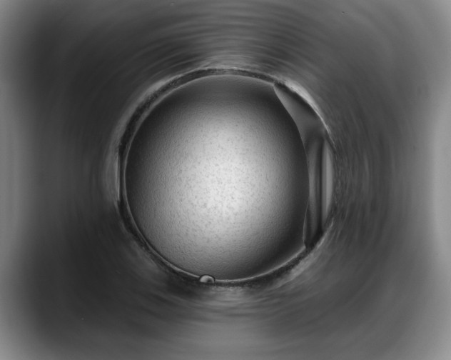 X0000088831123200706141515