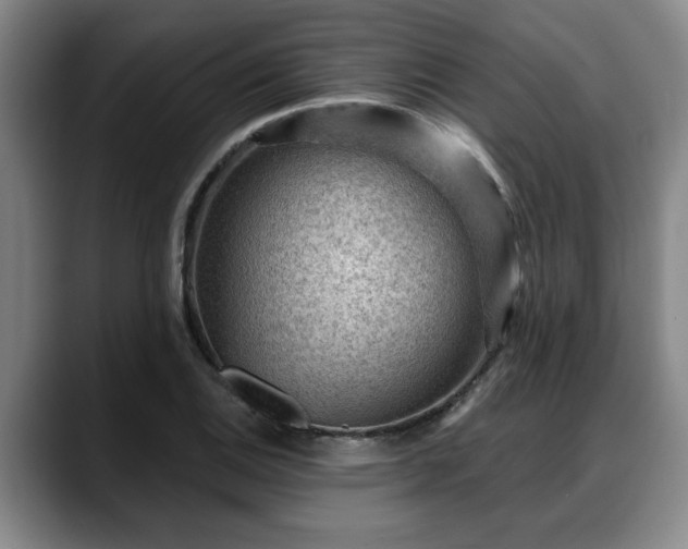 X0000088831124200706141515