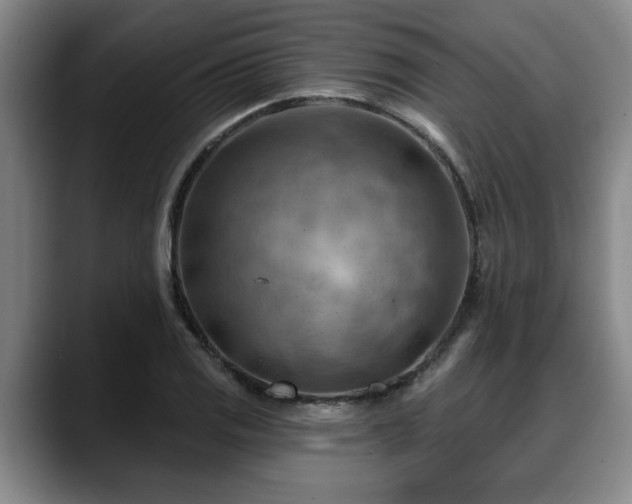 X0000088831125200706141515