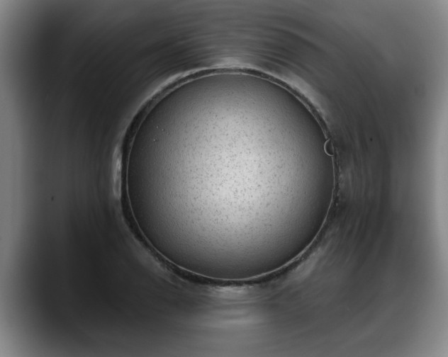 X0000088831126200706141515