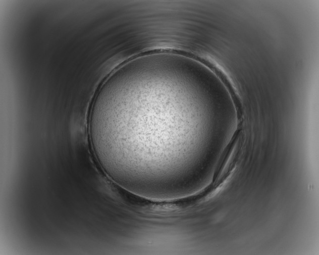 X0000088831129200706141516