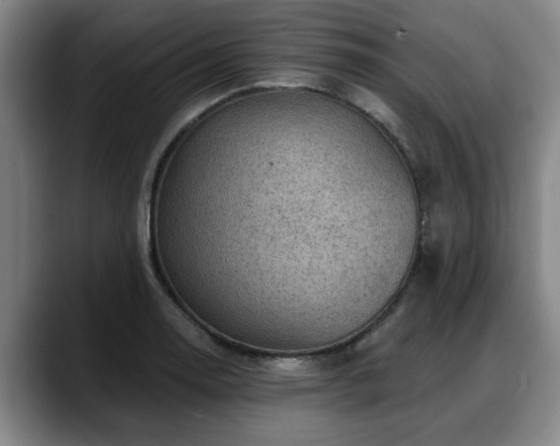 X0000088831130200706141516