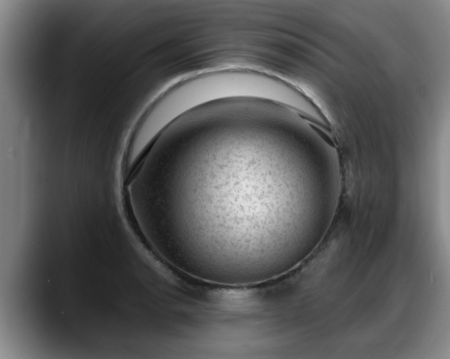 X0000088831134200706141516