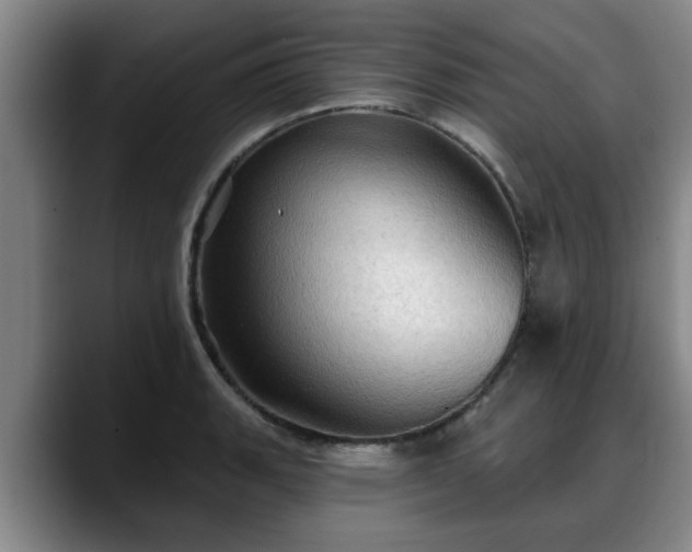 X0000088831135200706141516
