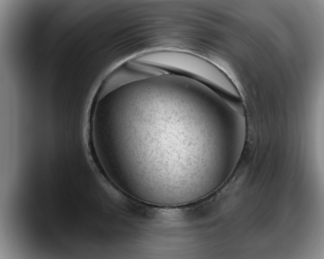 X0000088831136200706141516