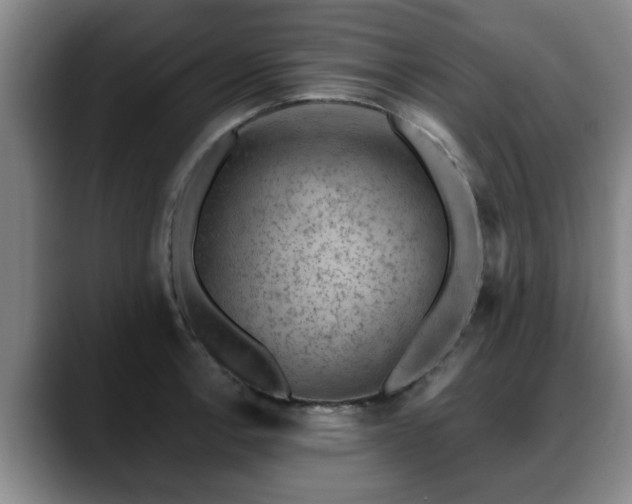 X0000088831138200706141516