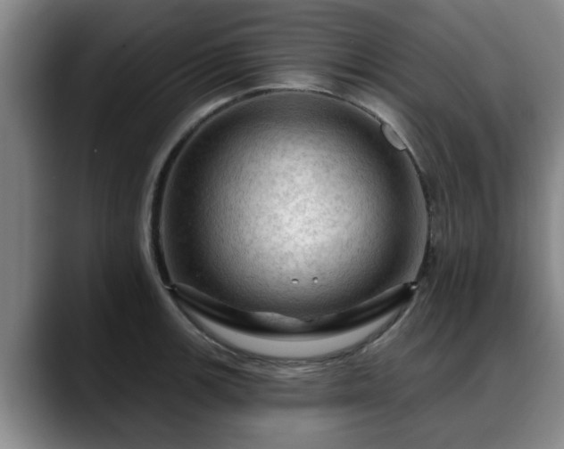 X0000088831139200706141516