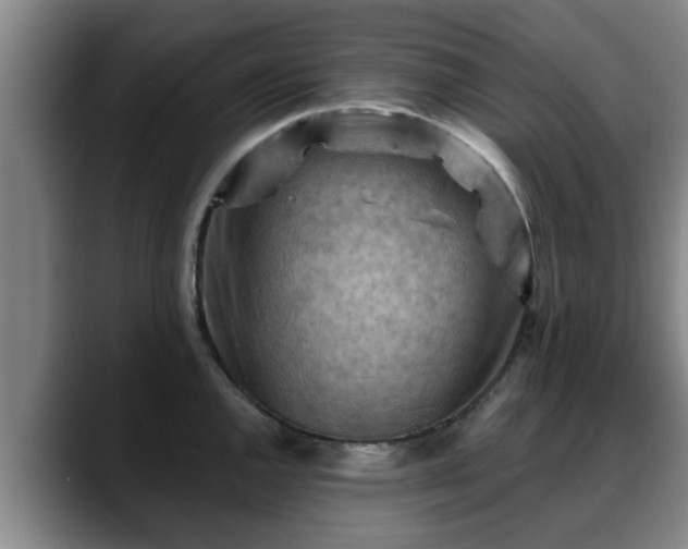 X0000088831144200706141516