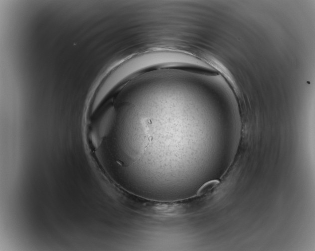 X0000088831146200706141516