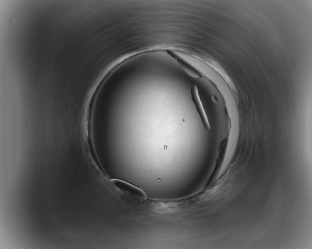 X0000088831148200706141516