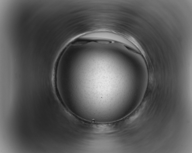 X0000088831149200706141516