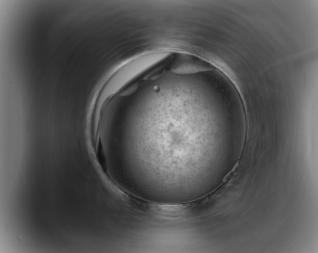 X0000088831152200706141516