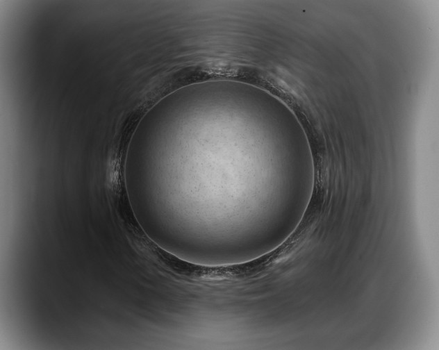 X0000088831154200706141515