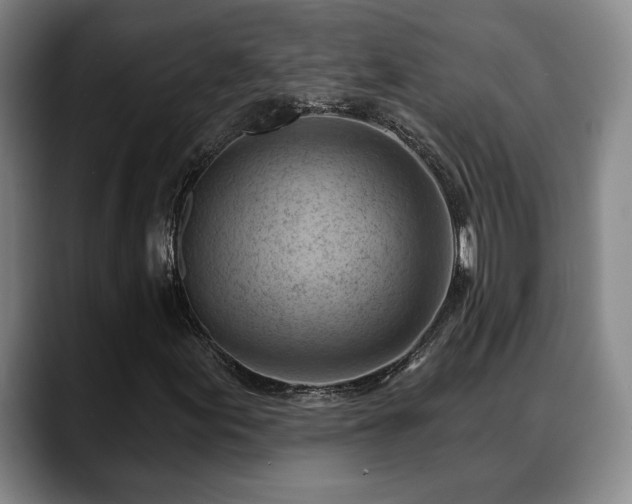 X0000088831155200706141515