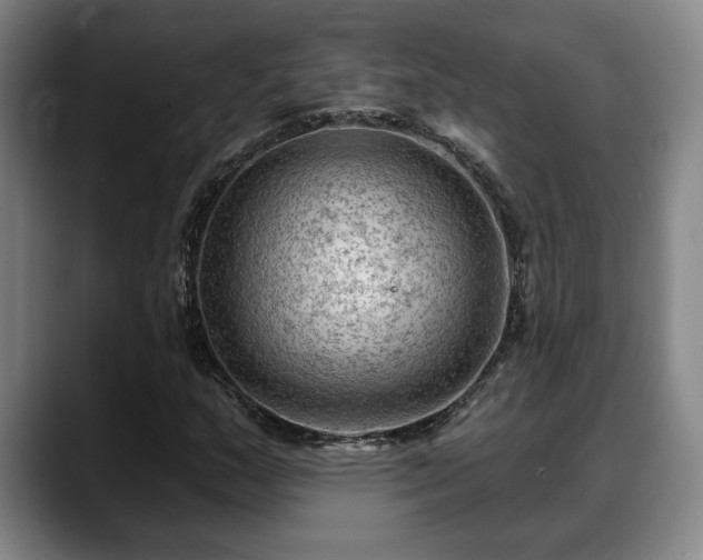 X0000088831159200706141515