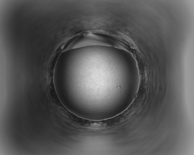 X0000088831160200706141515