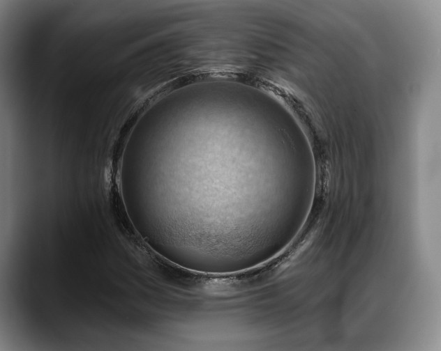 X0000088831161200706141515