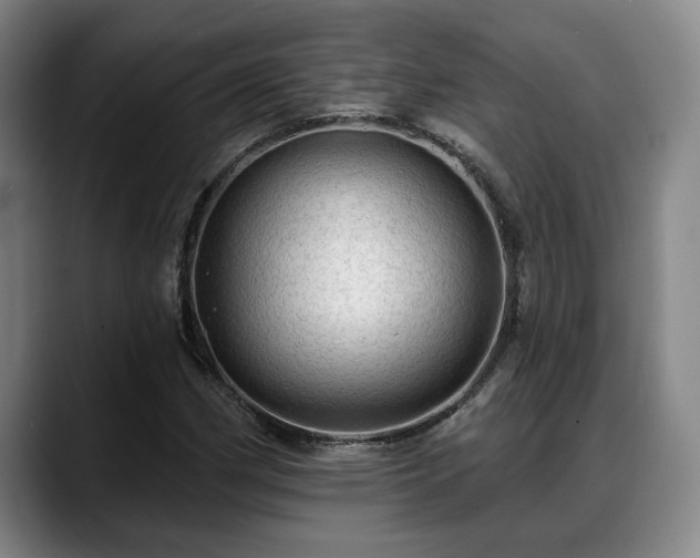 X0000088831162200706141515