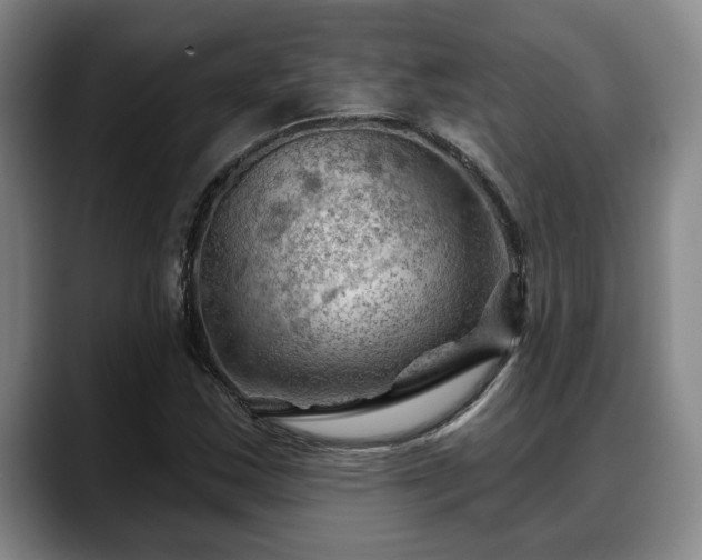 X0000088831163200706141515