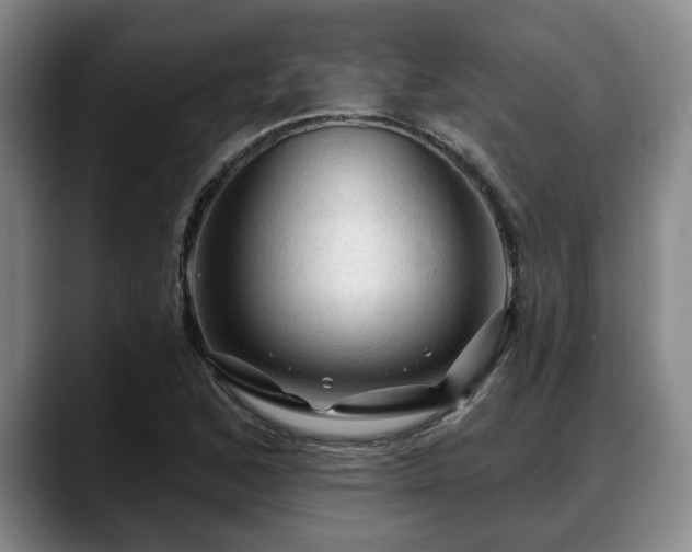 X0000088831168200706141515