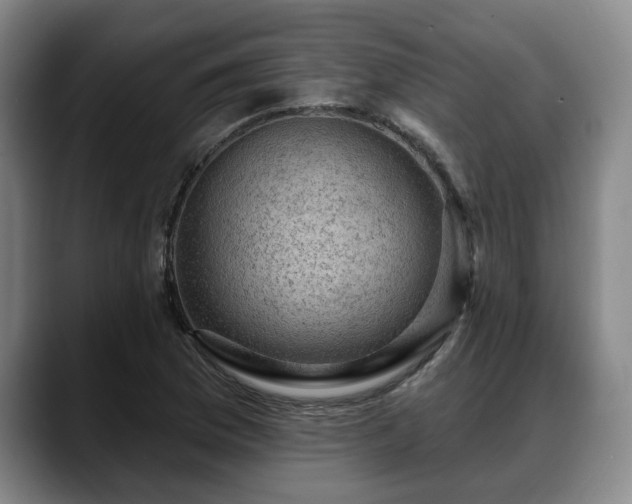 X0000088831169200706141515