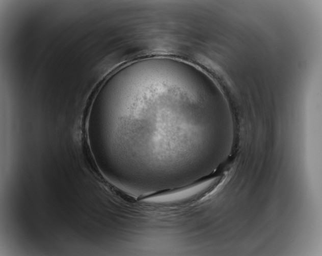 X0000088831170200706141515