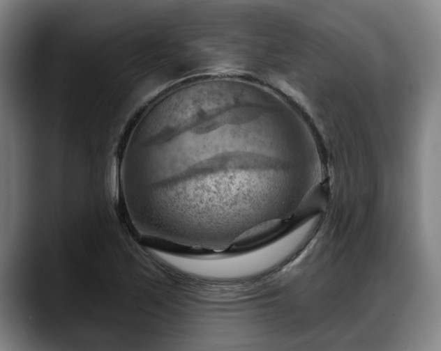 X0000088831171200706141515