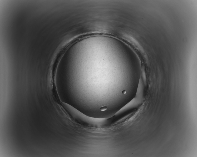 X0000088831172200706141515