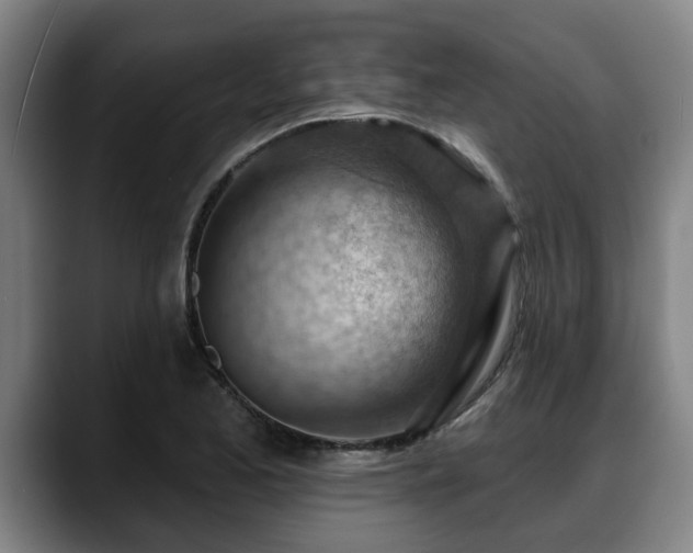 X0000088831173200706141515