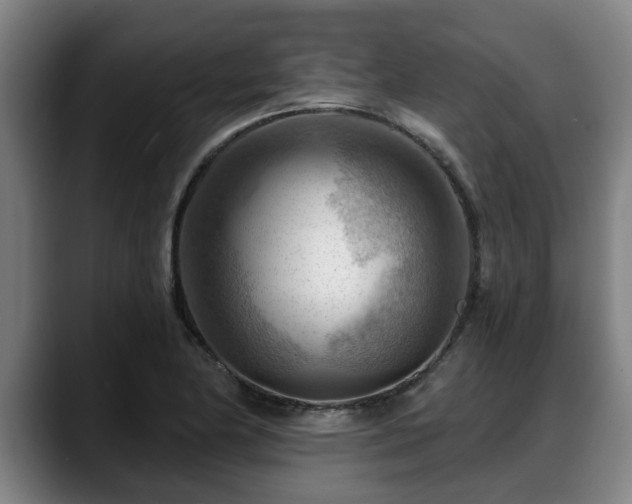 X0000088831174200706141515