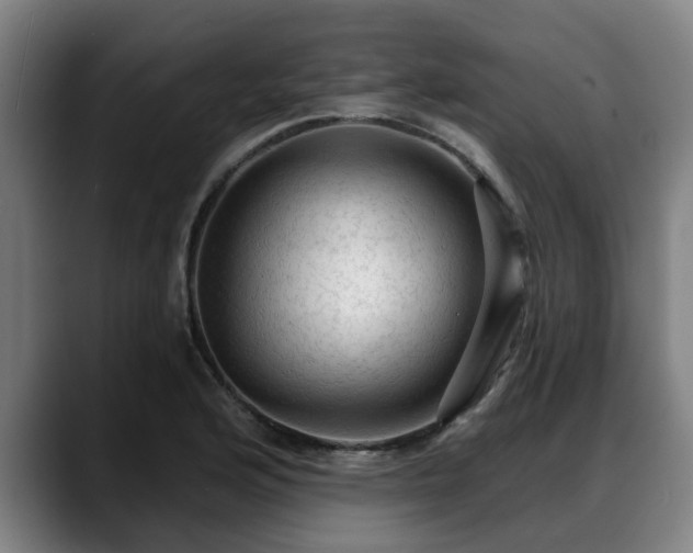 X0000088831176200706141515