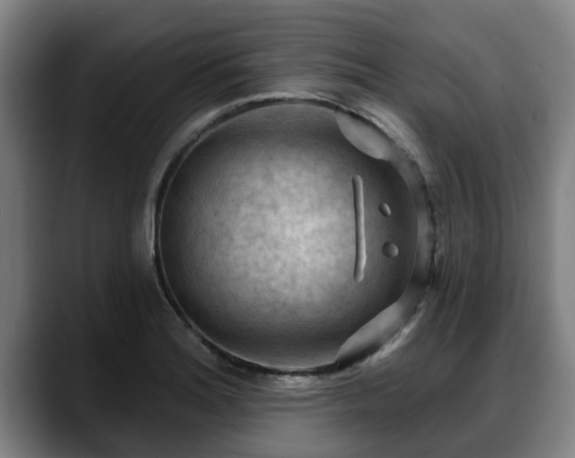 X0000088831180200706141515