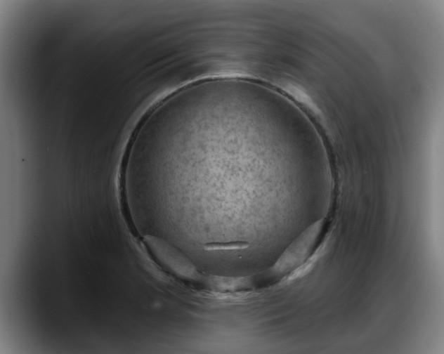 X0000088831181200706141515