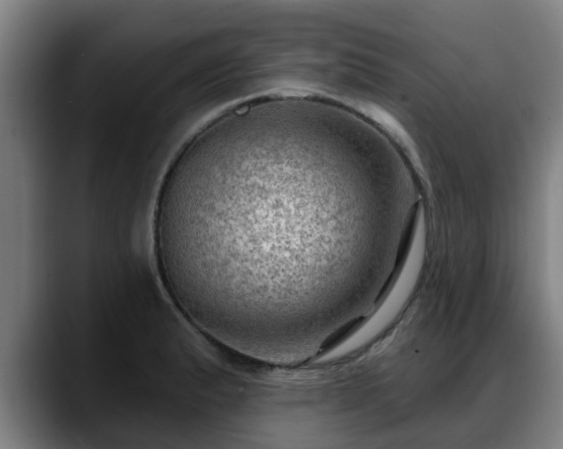 X0000088831183200706141515