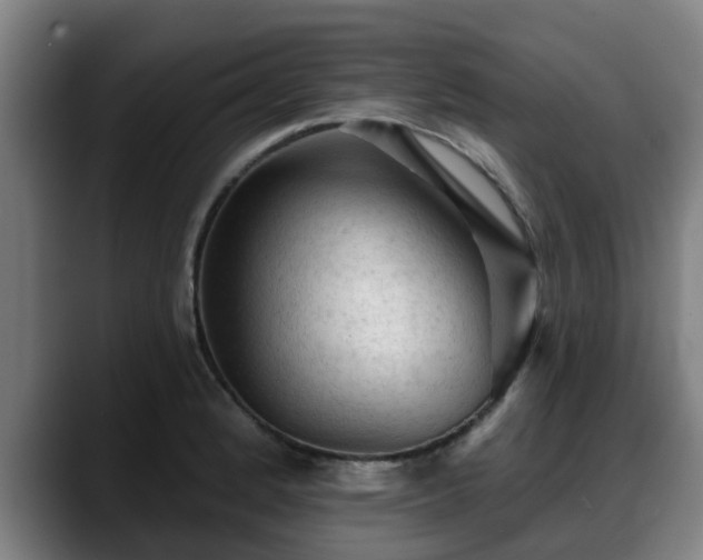 X0000088831184200706141515