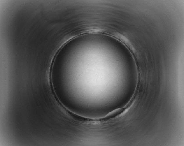 X0000088831186200706141515