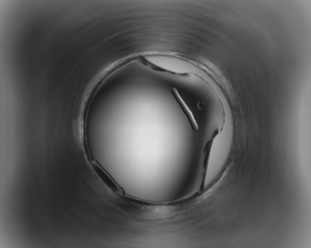 X0000088831188200706141515