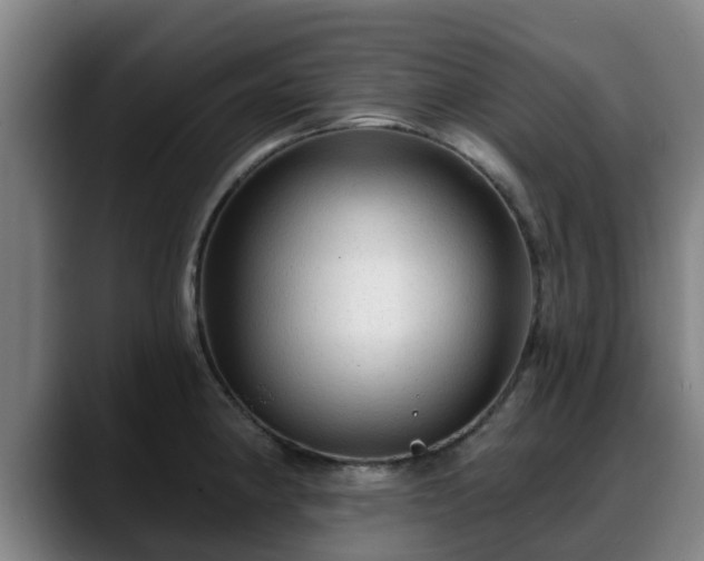 X0000088831190200706141515